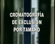 Técnicas de caracterización de Polímeros. Cromatografía de exclusión por tamaños