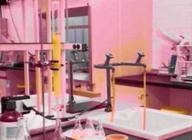 Sintesis organica: Obtención de Orto y Para-Nitrofenol