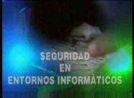 Seguridad en entornos informáticos
