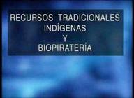 Recursos tradicionales indígenas y biopiratería