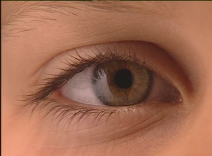 Metodología de investigación básica: parámetros oculares y procesamiento de la información