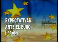 El euro (II). Expectativas ante el euro (I parte)