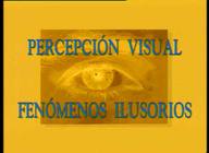 Percepción visual. Fenómenos ilusorios