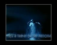 Viaje a través de las pasiones