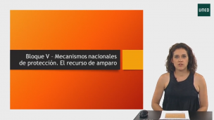 Mecanismos nacionales de protección. El recurso de amparo  
