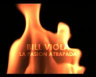 Bill Viola: la pasión atrapada.