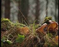 Cambio climático. El futuro en nuestras manos