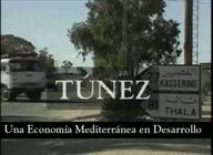 Túnez, una economía mediterránea en desarrollo
