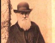 Darwin hoy