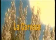La cerveza: cómo, con qué se elabora y cómo se consume