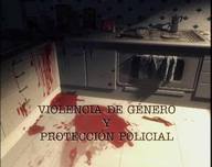 Violencia de género y protección policial