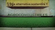 Agrocombustibles. ¿Una alternativa sostenible?