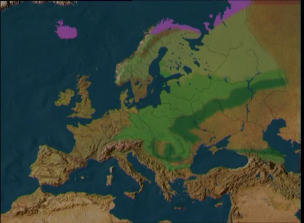 Europa, la naturaleza y el hombre