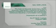 Presentación de la sublinea V
