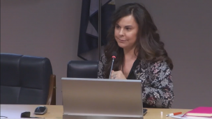 Incidencia de la funcionalidad ejecutiva, las estrategias de aprendizaje y el estrés percibido en el rendimiento académico.