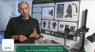 Grupo de investigación: Proyecto de Investigación en Biología Evolutiva