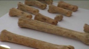 No era el último Neandertal