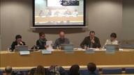Presentación de los informes de los grupos de trabajo