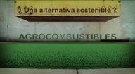 Agrocombustibles ¿Una alternativa sostenible?.