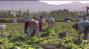 El Patrimonio Agrario: Reconocimiento, Caracterización y Protección