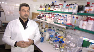 Proyectos de Investigación. Centro de investigación de la neuropsicobiología de la cognición