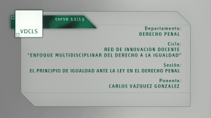 El principio de igualdad ante la ley en el derecho penal
