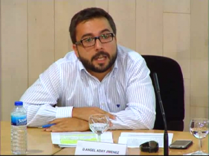 El recurso de amparo: estado de la cuestión