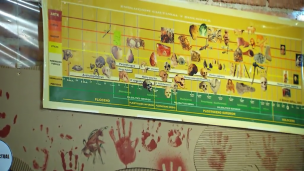 La noche ancestral. Noche Europea de los Investigadores.