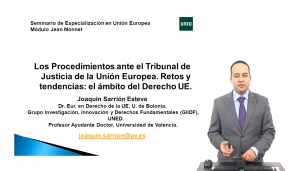 Los procedimientos ante el Tribunal de Justicia de la Unión Europea. Retos y tendencias : Ambito del Derecho U.E