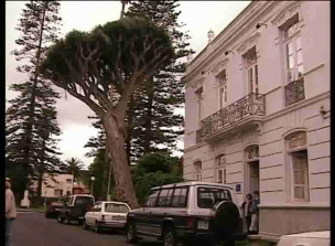 Reportaje sobre los Centros Asociados de Tenerife y las Palmas