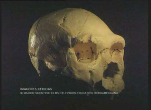 Los primeros europeos: Atapuerca