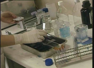 Ciencia, ¿para qué?