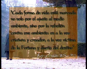 Tendencias sociales