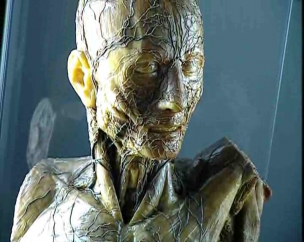 Colección de colecciones. Arte y Ciencia en la UCM