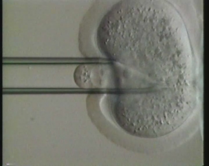 La nueva Biomedicina. Derecho, genética y dignidad humana