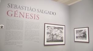 Génesis: Carta de amor a la Tierra. 