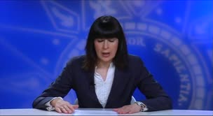 Protección jurisdiccional ordinaria de los derechos fundamentales
