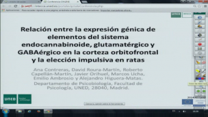 Relación entre la expresión génica de elementos del sistema endocannabinoide, glutamatérgico y GABAérgico en la corteza orbitofrontal y la elección impulsiva en ratas