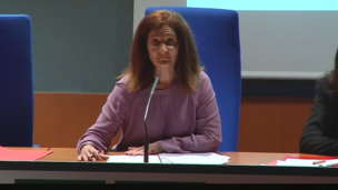 Los derechos de la mujer y de la infancia a propósito de la maternidad subrogada
