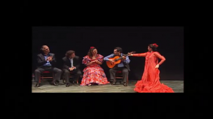 Conferencia - Concierto “El octosílabo en el flamenco”.  