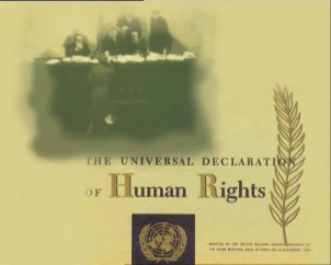 Empresa y Derechos Humanos