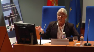 58 What can the Digital Humanities offer small linguistic and cultural communities?