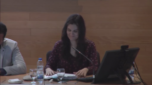 Intervención de Elena Ares