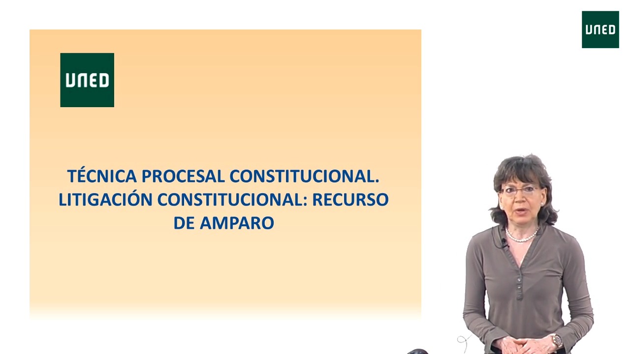 Técnica procesal constitucional