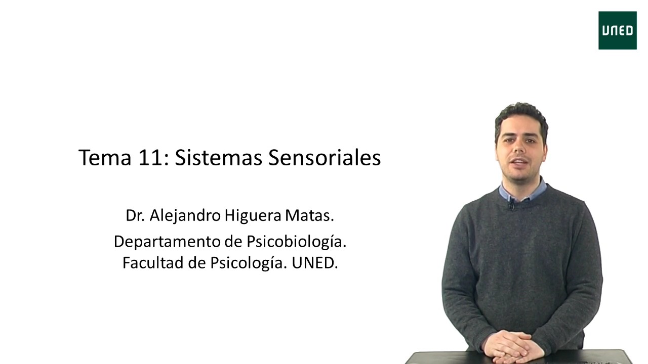 Orientaciones al estudio del Tema 11