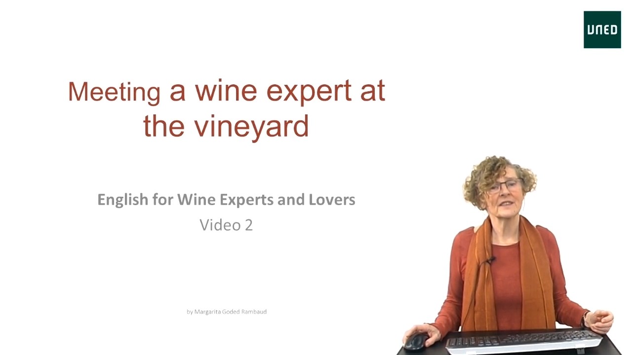 Video 2. Meeting a wine expert at the vineyard