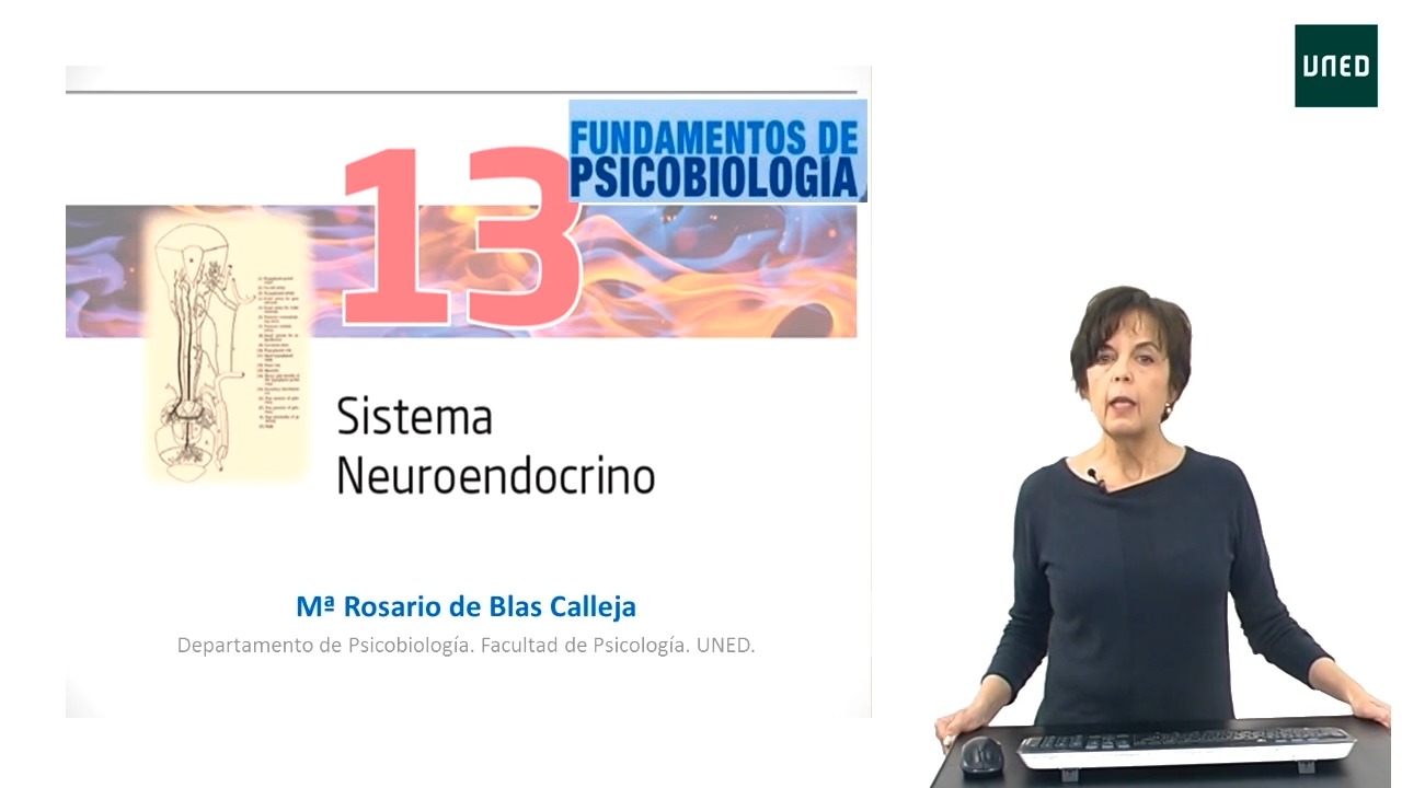 Comentarios sobre el Tema 13 de Fundamentos de Psicobiología: Sistema Neuroendocrino        