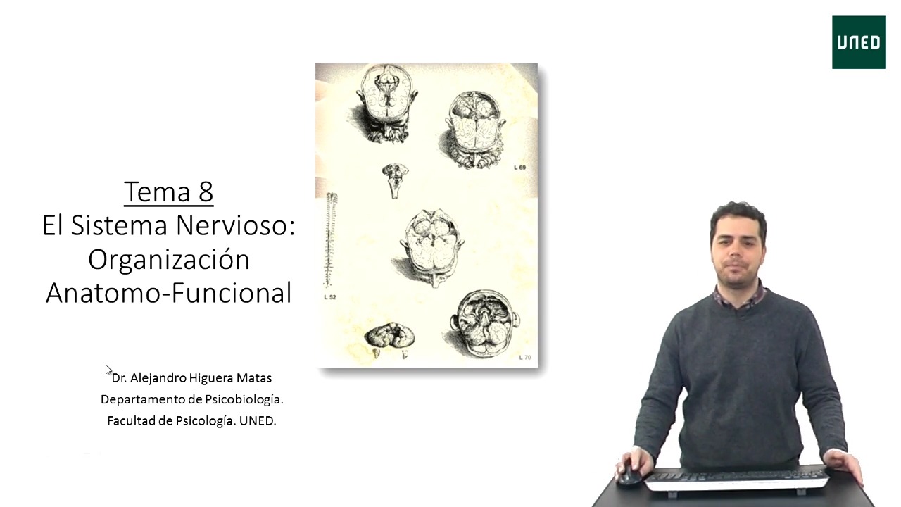 Orientaciones al estudio del Tema 8