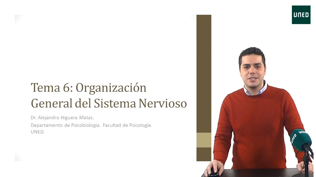 Orientaciones al estudio del Tema 6