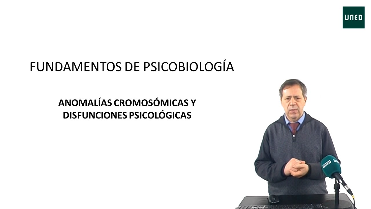 Psicobiología: Tema 2 – Segunda parte  